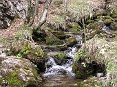 59 Siamo vicini alle sorgenti del torrente Vertova